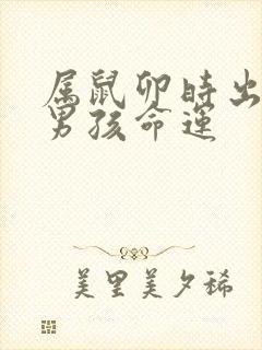 属鼠卯时出生的男孩命运