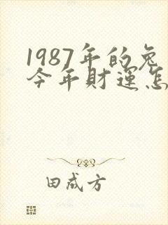 1987年的兔今年财运怎么样