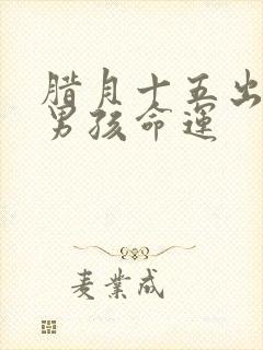 腊月十五出生的男孩命运