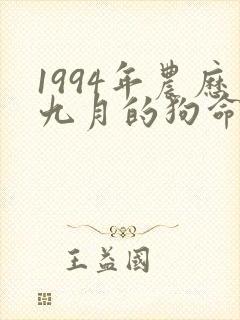 1994年农历九月的狗命运如何