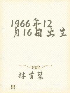 1966年12月16日出生的命运