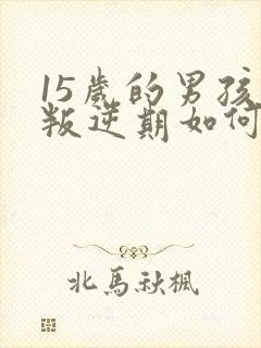 15岁的男孩子叛逆期如何去管教封面