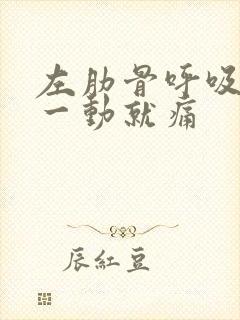 左肋骨呼吸痛,一动就痛