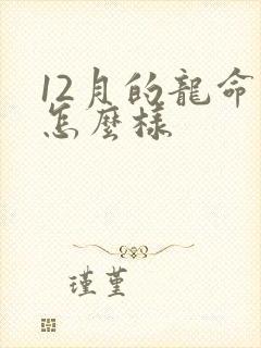 12月的龙命运怎么样封面