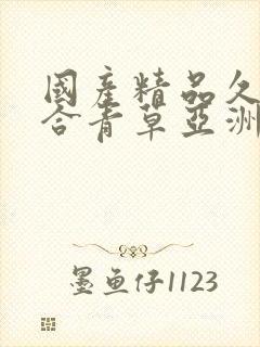 国产精品久久综合青草亚洲av