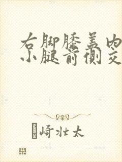 右脚膝盖内侧与小腿前侧交界处疼痛