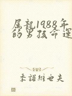 属龙1988年的男孩命运