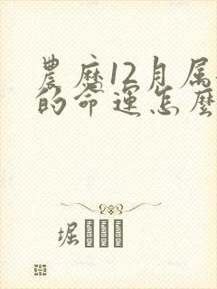 农历12月属龙的命运怎么样