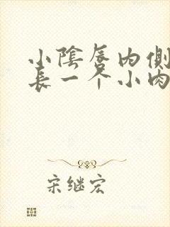 小阴唇内侧皮肤长一个小肉粒