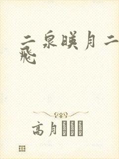 二泉映月二胡宋飞