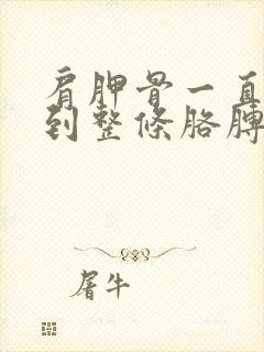 肩胛骨一直酸疼到整条胳膊怎么办