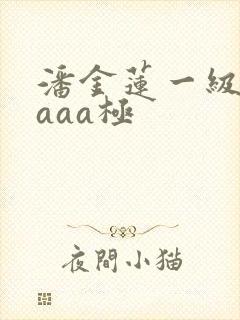 潘金莲一级淫片aaa极