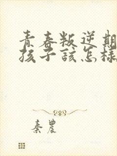 青春叛逆期的男孩子该怎样去沟通教育