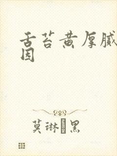 舌苔黄厚腻的原因