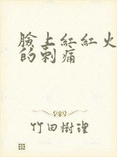 脸上红红火辣辣的刺痛