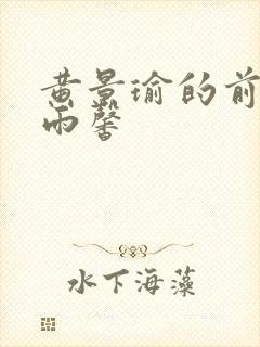 黄景瑜的前妻王雨馨