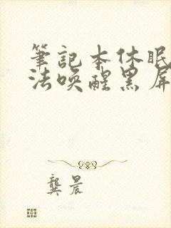 笔记本休眠后无法唤醒黑屏