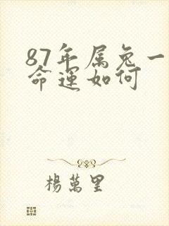 87年属兔一生命运如何