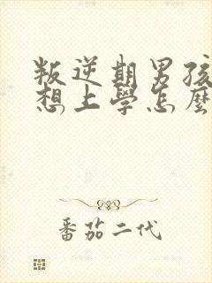 叛逆期男孩子不想上学怎么办