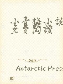 小青梅小说全文免费阅读