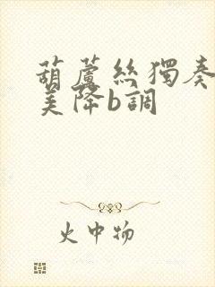 葫芦丝独奏草原美降b调