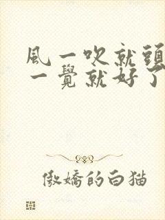 风一吹就头疼睡一觉就好了封面