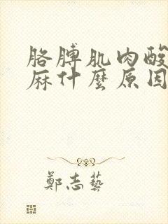 胳膊肌肉酸痛手麻什么原因