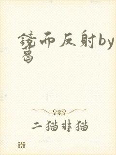 镜面反射by九葛封面