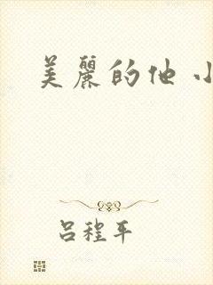 美丽的他 小说