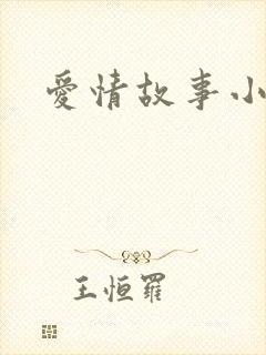 爱情故事小说