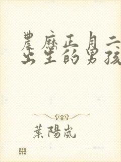 农历正月二十一出生的男孩命运如何?