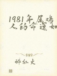 1981年属鸡人的命运如何