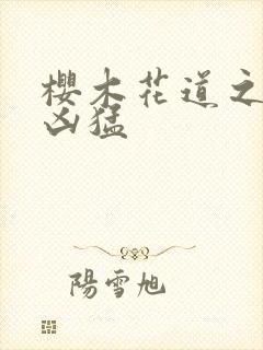 樱木花道之重生凶猛封面