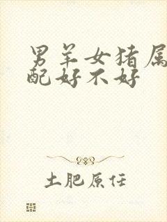 男羊女猪属相婚配好不好