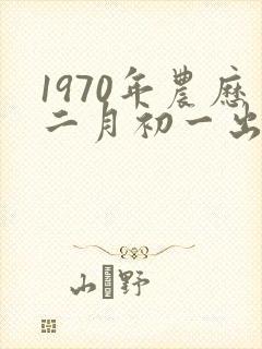 1970年农历二月初一出生的人命运