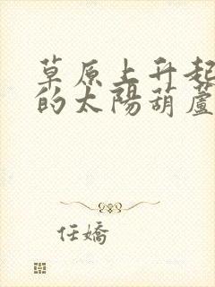 草原上升起不落的太阳葫芦丝吹奏降笔调封面