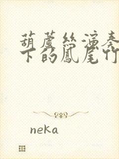 葫芦丝演奏月光下的凤尾竹降b调封面