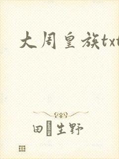 大周皇族txt封面