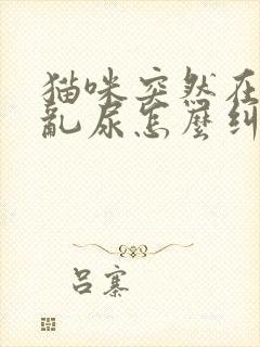 猫咪突然在床上乱尿怎么纠正