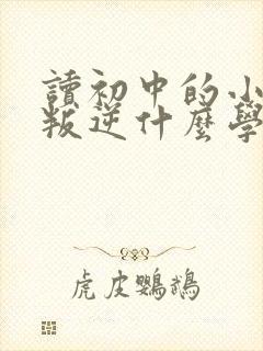 读初中的小孩很叛逆什么学校好封面