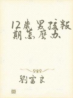 12岁男孩叛逆期怎么办