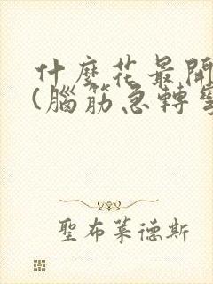 什么花最开心?(脑筋急转弯)