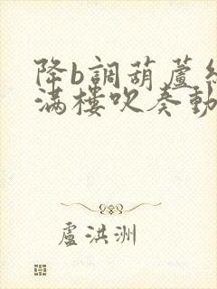 降b调葫芦丝花满楼吹奏动态曲谱