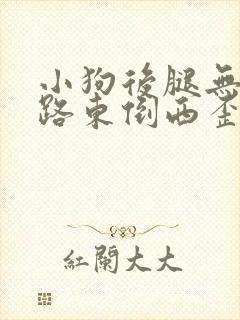 小狗后腿无力走路东倒西歪