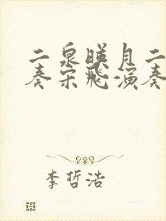 二泉映月二胡独奏宋飞演奏