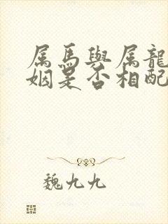 属马与属龙的婚姻是否相配封面