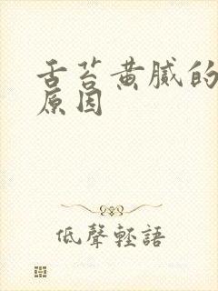 舌苔黄腻的口臭原因