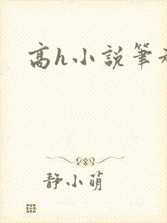 高h小说笔趣阁封面