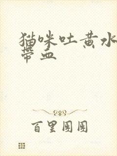 猫咪吐黄水拉稀带血