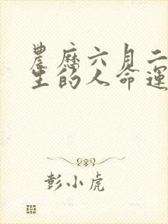 农历六月二十出生的人命运封面